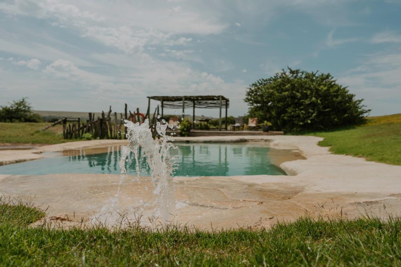 Hlosi Game Lodge - Amakhala Game Reserve Buyskloof Exterior foto